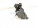 2023 Toyota Camry Rear Passenger Trailing Lower Control Arm 48760 06310 Replacement 2023 Toyota Camry Rear Passenger Trailing Lower Control Arm 48760 06310 Replacement thumbnail
