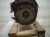2023 Toyota Camry Long Block Engine / Motor = 49k Mi* 19000 F0200 Replacement 2023 Toyota Camry Long Block Engine / Motor = 49k Mi* 19000 F0200 Replacement thumbnail