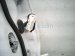 2023 Toyota Camry Rear Driver Door White No Inside Trim 6700406301 Replacement 2023 Toyota Camry Rear Driver Door White No Inside Trim 6700406301 Replacement thumbnail