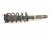 2018 Honda Odyssey Front Passenger Strut Absorber + Spring 51610 THR A910 Replacement 2018 Honda Odyssey Front Passenger Strut Absorber + Spring 51610 THR A910 Replacement thumbnail