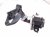 2018 Honda Odyssey Front Passenger Seat Belt Black 04814 THR A00ZB Replacement 2018 Honda Odyssey Front Passenger Seat Belt Black 04814 THR A00ZB Replacement thumbnail