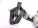 2018 Honda Odyssey Front Passenger Seat Belt Black 04814 THR A00ZB Replacement 2018 Honda Odyssey Front Passenger Seat Belt Black 04814 THR A00ZB Replacement thumbnail