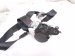 2018 Honda Odyssey Front Driver Seat Belt Black 04818 THR A00ZB Replacement 2018 Honda Odyssey Front Driver Seat Belt Black 04818 THR A00ZB Replacement thumbnail