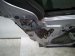 2018 Honda Odyssey Rear Driver Door Silver No Inside Trim 67550 THR A10ZZ Replacement 2018 Honda Odyssey Rear Driver Door Silver No Inside Trim 67550 THR A10ZZ Replacement thumbnail