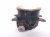 2018 Honda Odyssey Passenger Fog Lamp / Light 33900 TEY Y01 Replacement 2018 Honda Odyssey Passenger Fog Lamp / Light 33900 TEY Y01 Replacement thumbnail