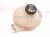 2024 Hyundai Santa Fe Coolant Overflow Reservoir Tank 25430 R5000 Replacement 2024 Hyundai Santa Fe Coolant Overflow Reservoir Tank 25430 R5000 Replacement thumbnail