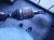 2024 Hyundai Santa Fe Front Driver Cv Axle Drive Shaft 49500 S2620 Replacement 2024 Hyundai Santa Fe Front Driver Cv Axle Drive Shaft 49500 S2620 Replacement thumbnail