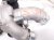 2024 Hyundai Santa Fe Turbocharger 28231 2S300 Replacement 2024 Hyundai Santa Fe Turbocharger 28231 2S300 Replacement thumbnail