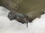 2024 Hyundai Santa Fe Front Passenger Fender Green *dent 66320 R6000 Replacement 2024 Hyundai Santa Fe Front Passenger Fender Green *dent 66320 R6000 Replacement thumbnail