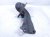 2024 Toyota Prius Rear Passenger Trailing Lower Control Arm 48760 47020 Replacement 2024 Toyota Prius Rear Passenger Trailing Lower Control Arm 48760 47020 Replacement thumbnail