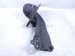 2024 Toyota Prius Rear Passenger Trailing Lower Control Arm 48760 47020 Replacement 2024 Toyota Prius Rear Passenger Trailing Lower Control Arm 48760 47020 Replacement thumbnail