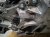 2024 Toyota Prius Automatic Transmission = 53k Mi* 30900 47200 Replacement 2024 Toyota Prius Automatic Transmission = 53k Mi* 30900 47200 Replacement thumbnail