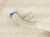 2006 Honda Accord Windshield Washer Reservoir Tank* 76840 SDA A11 Replacement 2006 Honda Accord Windshield Washer Reservoir Tank* 76840 SDA A11 Replacement thumbnail