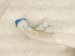 2006 Honda Accord Windshield Washer Reservoir Tank* 76840 SDA A11 Replacement 2006 Honda Accord Windshield Washer Reservoir Tank* 76840 SDA A11 Replacement thumbnail