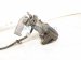 2006 Honda Accord Rear Passenger Brake Caliper 43018 SDA A00 Replacement 2006 Honda Accord Rear Passenger Brake Caliper 43018 SDA A00 Replacement thumbnail