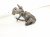 2006 Honda Accord Rear Driver Brake Caliper 43019 SDA A00 Replacement 2006 Honda Accord Rear Driver Brake Caliper 43019 SDA A00 Replacement thumbnail