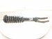 2006 Honda Accord Front Passenger Strut Absorber + Spring 51811 SDA A00 Replacement 2006 Honda Accord Front Passenger Strut Absorber + Spring 51811 SDA A00 Replacement thumbnail