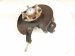 2006 Honda Accord Axle Stub Rear Driver Spindle Knuckle Hub 52215 SDA A50 Replacement 2006 Honda Accord Axle Stub Rear Driver Spindle Knuckle Hub 52215 SDA A50 Replacement thumbnail