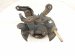 2006 Honda Accord Axle Stub Rear Driver Spindle Knuckle Hub 52215 SDA A50 Replacement 2006 Honda Accord Axle Stub Rear Driver Spindle Knuckle Hub 52215 SDA A50 Replacement thumbnail