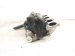 2006 Honda Accord Intake Manifold 17110 RAA A10 Replacement 2006 Honda Accord Intake Manifold 17110 RAA A10 Replacement thumbnail