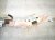 2006 Honda Accord Driver Roof Curtain Airbag 78850 SDA A81 Replacement 2006 Honda Accord Driver Roof Curtain Airbag 78850 SDA A81 Replacement thumbnail