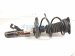2024 Nissan Sentra Front Passenger Strut Absorber + Spring 54320 6LB0A Replacement 2024 Nissan Sentra Front Passenger Strut Absorber + Spring 54320 6LB0A Replacement thumbnail