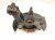 2024 Nissan Sentra Front Passenger Spindle Knuckle Hub 40014 6LA1A Replacement 2024 Nissan Sentra Front Passenger Spindle Knuckle Hub 40014 6LA1A Replacement thumbnail