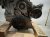 2024 Nissan Sentra Long Block Engine / Motor = 41k Mi 10102 6LY0A Replacement 2024 Nissan Sentra Long Block Engine / Motor = 41k Mi 10102 6LY0A Replacement thumbnail