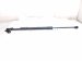 2018 Toyota Sienna Passenger Tailgate Shock Strut 68960 08022 Replacement 2018 Toyota Sienna Passenger Tailgate Shock Strut 68960 08022 Replacement thumbnail