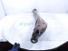 2022 Chevy Tahoe Rear Passenger Trailing Lower Control Arm 84728686 Replacement 2022 Chevy Tahoe Rear Passenger Trailing Lower Control Arm 84728686 Replacement thumbnail