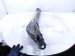 2022 Chevy Tahoe Rear Driver Trailing Lower Control Arm 84728685 Replacement 2022 Chevy Tahoe Rear Driver Trailing Lower Control Arm 84728685 Replacement thumbnail