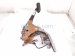 2018 Toyota Sienna Brake Pedal Assy 3.5l Fwd 47110 08032 Replacement 2018 Toyota Sienna Brake Pedal Assy 3.5l Fwd 47110 08032 Replacement thumbnail