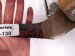 2018 Toyota Sienna Brake Pedal Assy 3.5l Fwd 47110 08032 Replacement 2018 Toyota Sienna Brake Pedal Assy 3.5l Fwd 47110 08032 Replacement thumbnail