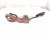 2007 Honda S2000 Gas / Accelerator Pedal Assy Fl 17800 S2A L04 Replacement 2007 Honda S2000 Gas / Accelerator Pedal Assy Fl 17800 S2A L04 Replacement thumbnail