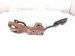 2007 Honda S2000 Gas / Accelerator Pedal Assy Fl 17800 S2A L04 Replacement 2007 Honda S2000 Gas / Accelerator Pedal Assy Fl 17800 S2A L04 Replacement thumbnail