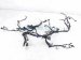 2025 Subaru Crosstrek Main Engine Wire Harness 2.0l Awd 24020AH670 Replacement 2025 Subaru Crosstrek Main Engine Wire Harness 2.0l Awd 24020AH670 Replacement thumbnail