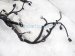 2025 Subaru Crosstrek Main Engine Wire Harness 2.0l Awd 24020AH670 Replacement 2025 Subaru Crosstrek Main Engine Wire Harness 2.0l Awd 24020AH670 Replacement thumbnail