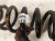 2021 Lexus Is300 Strut / / Shock Absorber Rear Passenger Coil Spring Rwd 48231 53420 Replacement 2021 Lexus Is300 Strut / / Shock Absorber Rear Passenger Coil Spring Rwd 48231 53420 Replacement thumbnail