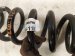 2021 Lexus Is300 Strut / / Shock Absorber Rear Passenger Coil Spring Rwd 48231 53420 Replacement 2021 Lexus Is300 Strut / / Shock Absorber Rear Passenger Coil Spring Rwd 48231 53420 Replacement thumbnail