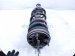2022 Chevy Tahoe Strut / Rear Passenger Coil Spring 4x4 84808106 Replacement 2022 Chevy Tahoe Strut / Rear Passenger Coil Spring 4x4 84808106 Replacement thumbnail
