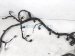 2022 Chevy Tahoe Main Engine Wire Harness 6.2l 4x4 85540236 Replacement 2022 Chevy Tahoe Main Engine Wire Harness 6.2l 4x4 85540236 Replacement thumbnail