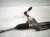 2019 Toyota Tacoma And / Gear Box Power Steering Rack & Pinion 44250 04041 Replacement 2019 Toyota Tacoma And / Gear Box Power Steering Rack & Pinion 44250 04041 Replacement thumbnail