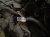 2018 Toyota Camry Long Block Engine / Motor = 127k Mi 19000 F0010 Replacement 2018 Toyota Camry Long Block Engine / Motor = 127k Mi 19000 F0010 Replacement thumbnail