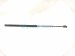 2017 BMW Mini Cooper Driver Tailgate Shock / Lift Cylinder 51 24 7 318 896 Replacement 2017 BMW Mini Cooper Driver Tailgate Shock / Lift Cylinder 51 24 7 318 896 Replacement thumbnail