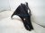 2023 Toyota Sienna Front Driver Fender Black 53812 08050 Replacement 2023 Toyota Sienna Front Driver Fender Black 53812 08050 Replacement thumbnail