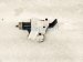 2023 Toyota Sienna Fuel Door Latch Actuator 77030 08010 Replacement 2023 Toyota Sienna Fuel Door Latch Actuator 77030 08010 Replacement thumbnail