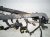 2023 Jeep Cherokee Main Engine Wire Harness 2.4l Awd 68526128AA Replacement 2023 Jeep Cherokee Main Engine Wire Harness 2.4l Awd 68526128AA Replacement thumbnail