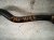 2025 Subaru Forester Front Stabilizer / Sway Bar W/links 20401FN000 Replacement 2025 Subaru Forester Front Stabilizer / Sway Bar W/links 20401FN000 Replacement thumbnail