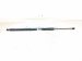 2023 Toyota Sienna Rear Driver Tailgate Strut / Lift Cylinder 68960 08050 Replacement 2023 Toyota Sienna Rear Driver Tailgate Strut / Lift Cylinder 68960 08050 Replacement thumbnail