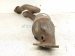 2017 Jeep Wrangler Catalytic Driver Exhaust Manifold W/pipe 3.6l 68085148AH Replacement 2017 Jeep Wrangler Catalytic Driver Exhaust Manifold W/pipe 3.6l 68085148AH Replacement thumbnail
